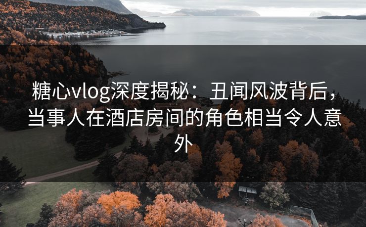 糖心vlog深度揭秘:丑闻风波背后,当事人在酒店房间的角色相当令人意外 糖心vlog深度揭秘:丑闻风波背后,当事人在酒店房间的角色相当令人意外